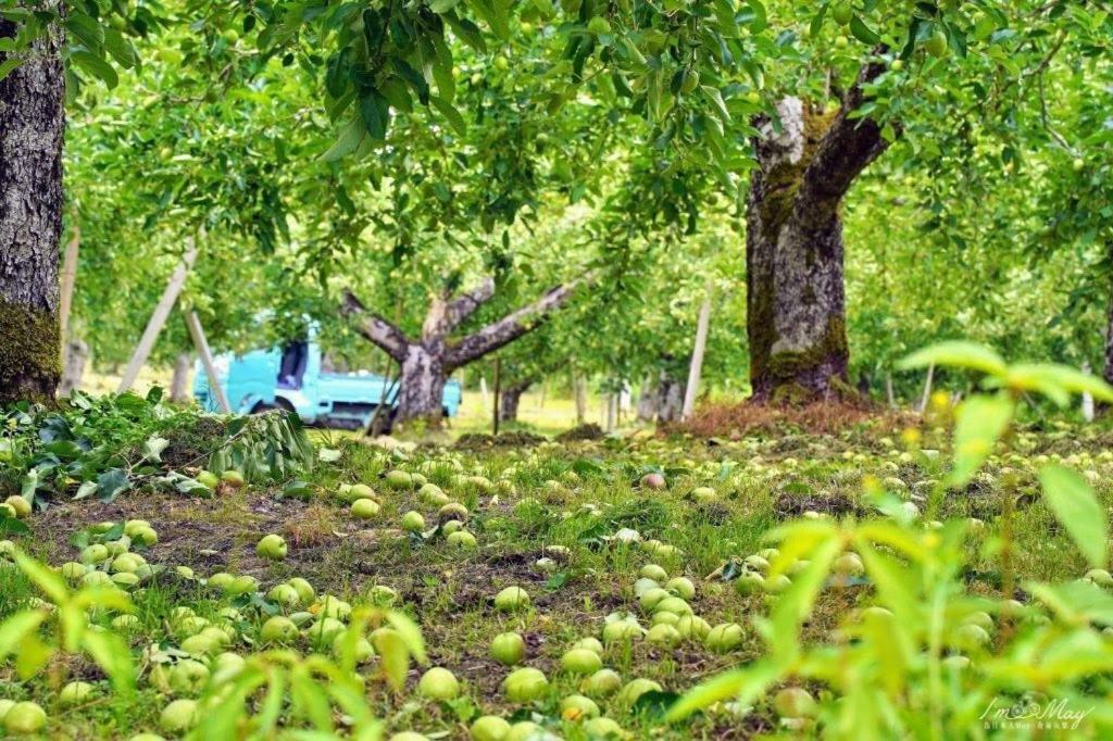 Daichan Farm Guest House Asahi  Екстер'єр фото